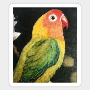 Watercolor Parrot Sticker